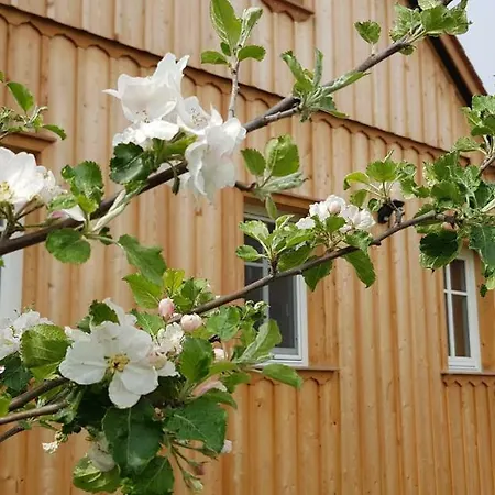 Hossies Hof - Luxus Ferienhaus Scheune Bertsdorf Exterior photo